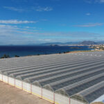 invernaderos plastico ventana ventilacion