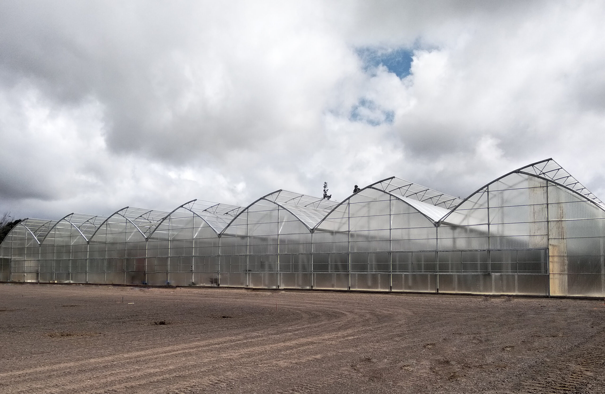 hawaii invernadero tropical_edit