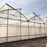 invernadero enza zaden exterior ventana doble gotico