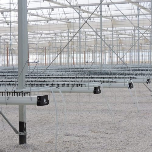 bonnysa canales premium elevated edit 2